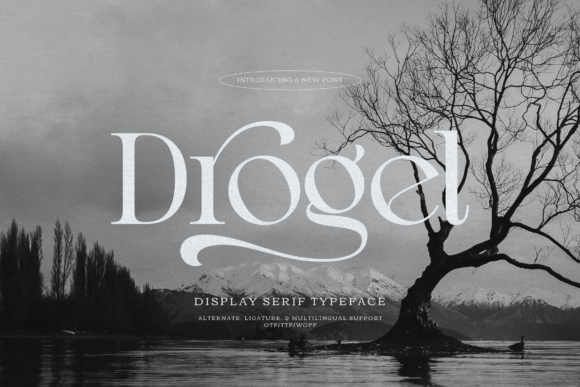 Drogel Typeface for Elegant Editorial Design
