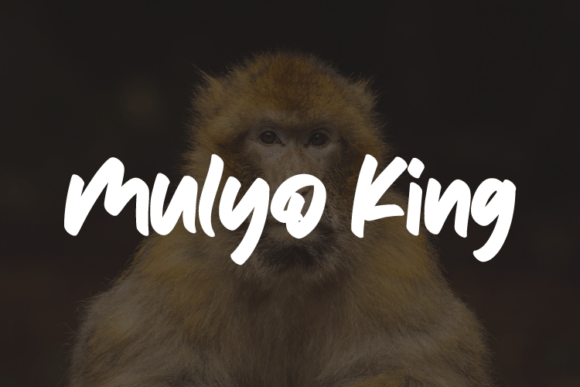 Mulyo King Typeface for Bold Branding