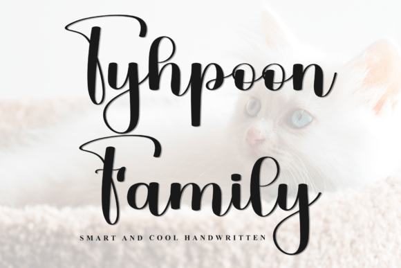 Tyhpoon Family: A Soft Script Font for Web Design